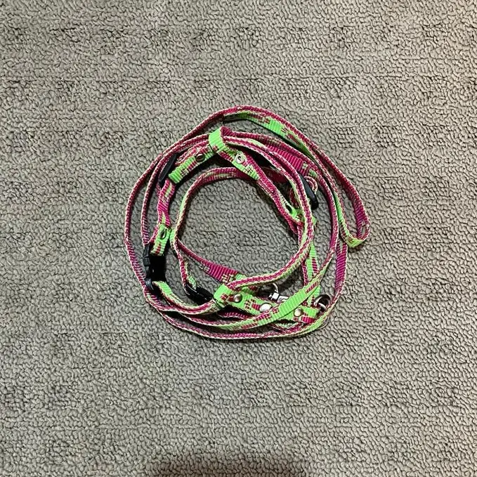 Harness Semua Jenis Kelinci 0