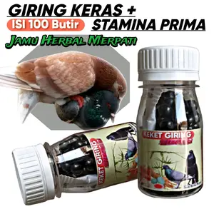 JAMU MERPATI KEKET GIRING 100 PIL super keras extra ginseng teki sarang walet pil edan alus
