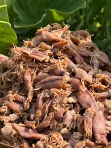 IKAN ASIN BABY CUMI SUPER - KIRIM SETENGAH KERING HARGA PALING MURAH