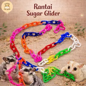 Rantai Climbing Mainan Sugar Glider
