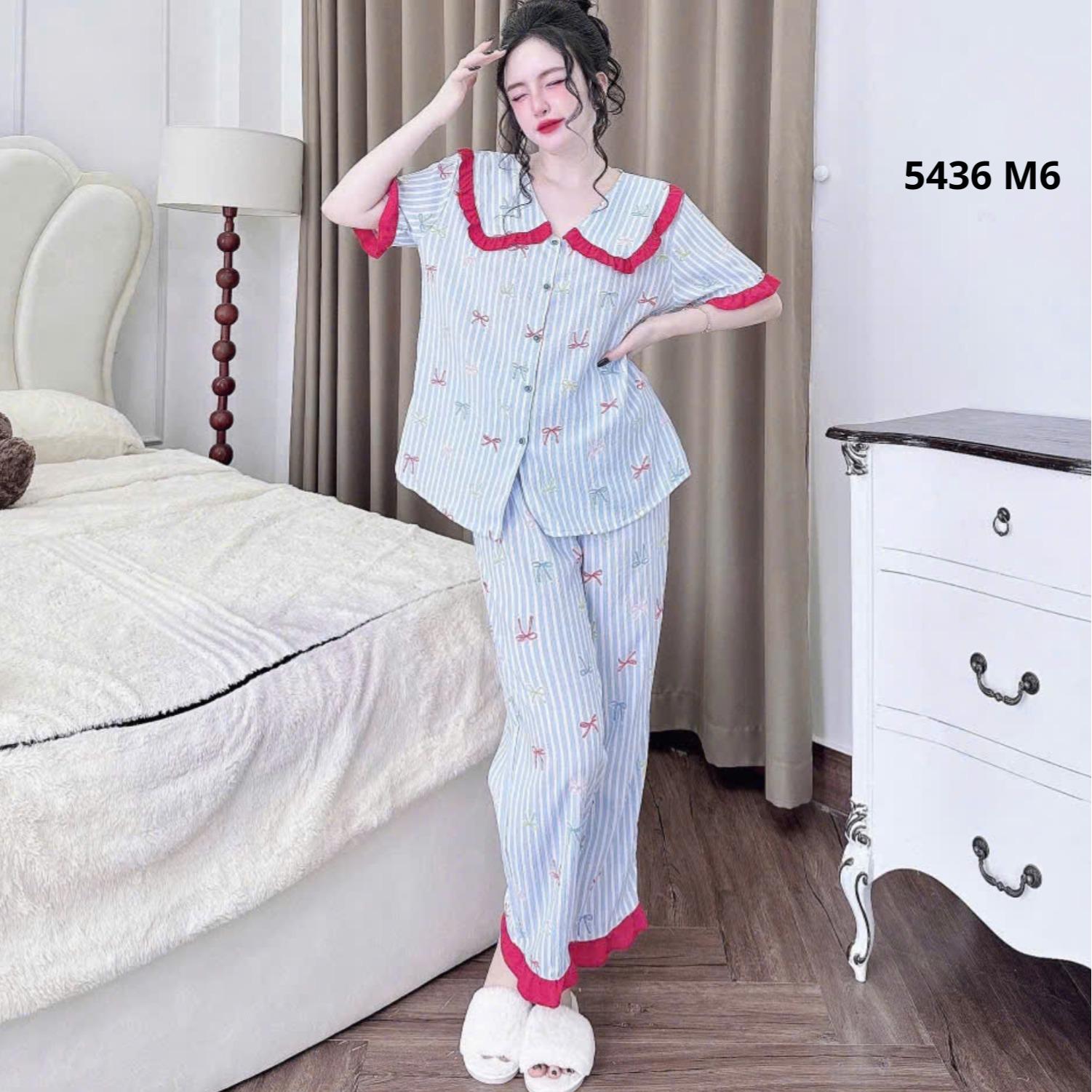 Màu 6