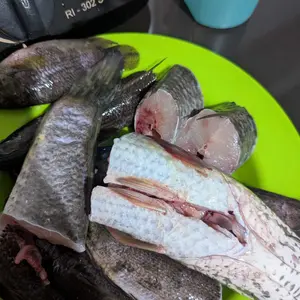 Gula Aren Cair Arunika Harvest 1 Kg Pouch Pemanis Alami Praktis Tanpa Pengawet