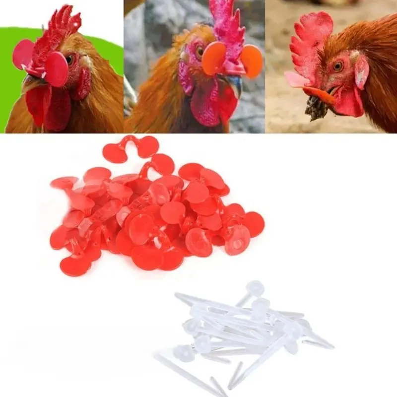 50pcs Kacamata Ayam Anti-pecking Goggles Chicken Glasses Farm Equipment Chicken Glasses Kaca Mata Ayam Kacamata Ayam 8