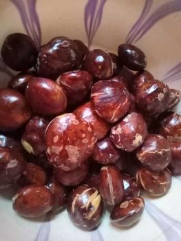 Product Review of jengkol tua belom di rendem from p**i s**a 1
