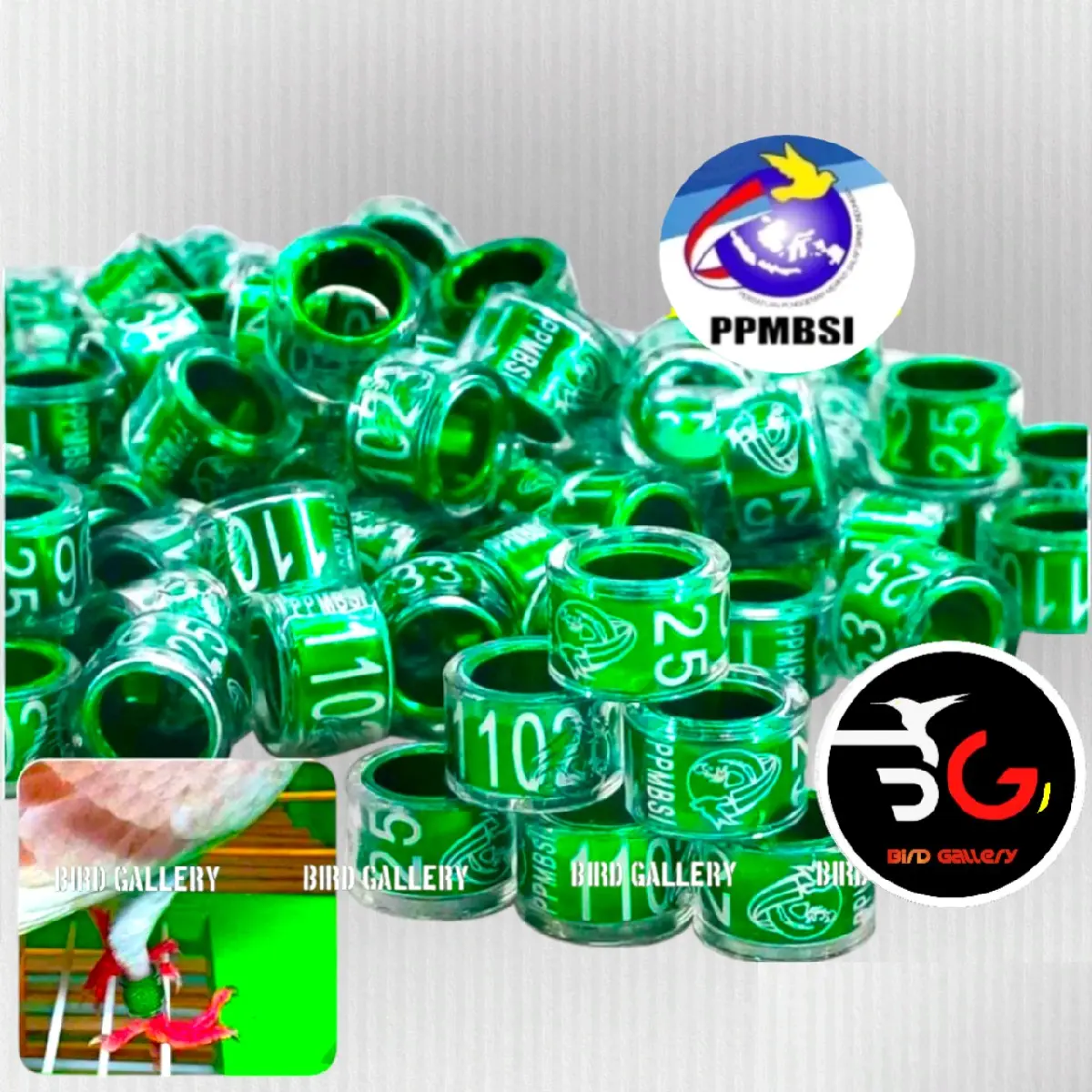 RING PPMBSI 2025 RING BURUNG MERPATI PPMBSI ORIGINAL
