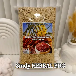 Benih Bibit Padi Darat Huma / Padi  Gogo Super Unggul Isi 1 Kg untuk Lahan Kering