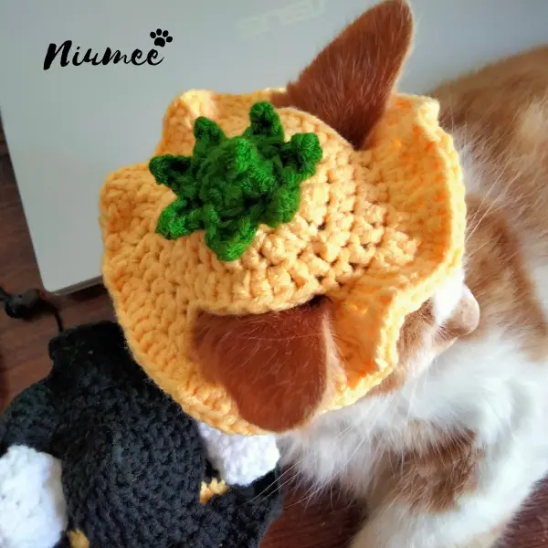 Topi Kucing Karakter Murah Lucu / Topi Kucing Rajut Labu / Cat Hat | Niumee 0