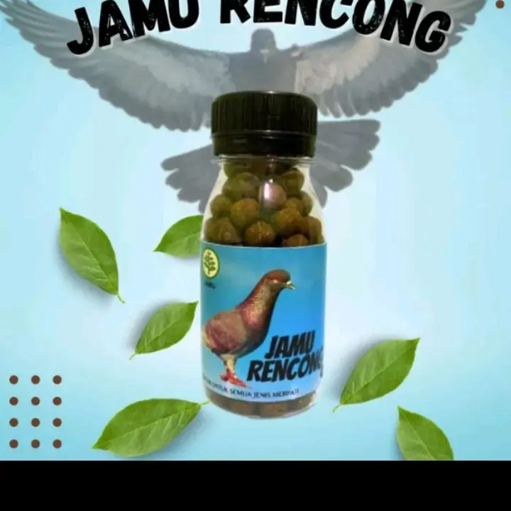 jamu merpati rencong merpati kolong balap merpati pos ecer perbutir