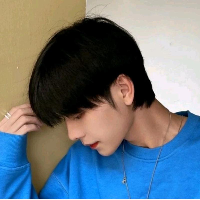 Product Introduction of WIG PRIA RAMBUT PENDEK TEBAL WARNA HITAM MODEL COWOK KOREA GRATIS WIGCAP 12