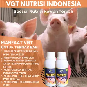 VGT Nutrisi Babi dan Kambing Penggemuk Hewan Ternak Vitamin Babi Penambah Nafsu Makan Babi 250ml