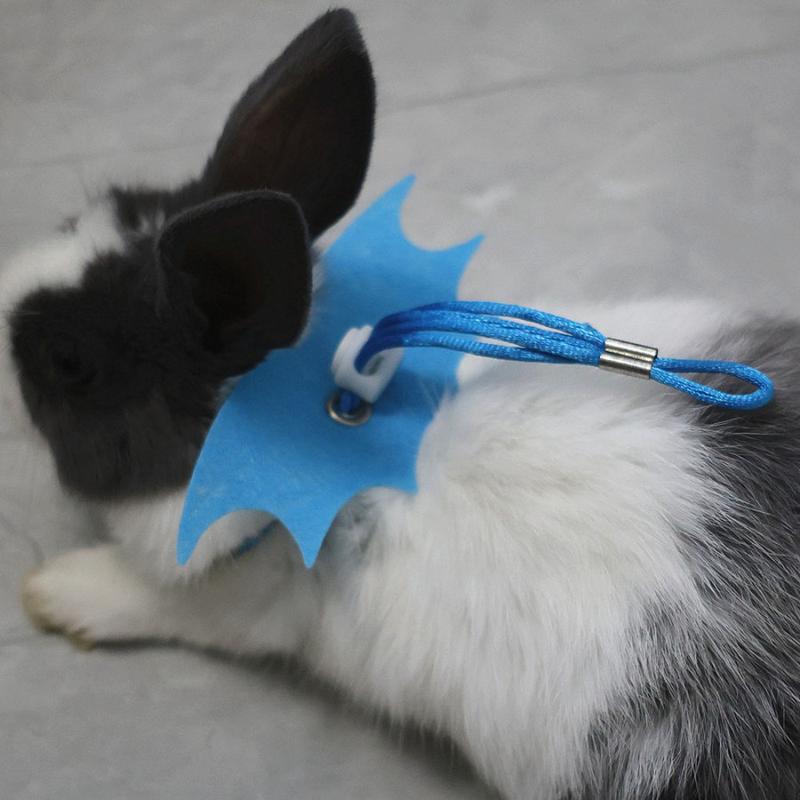thingin New Adjustable Traction Rope Solid color Hand Pet Rope Pet Chest Strap Or Small Reptiles 4
