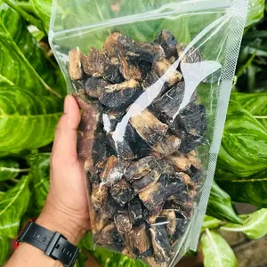 GATOT SINGKONG ORGANIK 1KG TAPAO KENYAL MANTAP