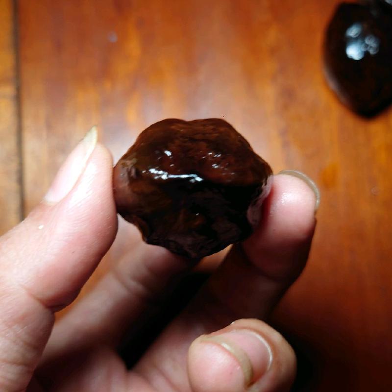 Muncang MARJUDI original jawa 5