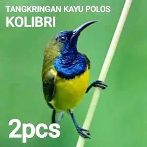 2pcs tangkringan kayu polos kolibri