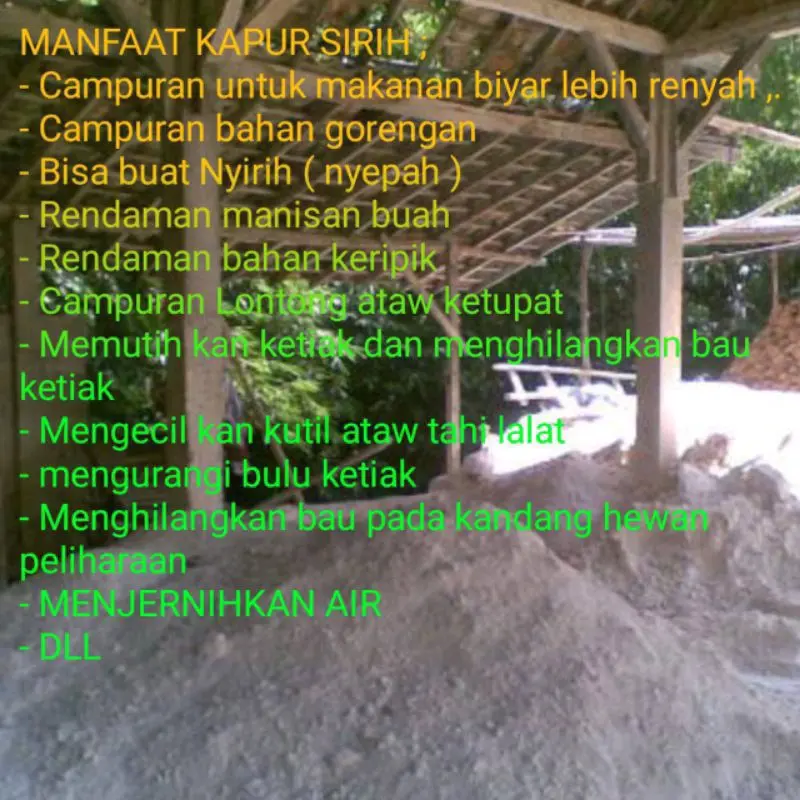 Kapur Sirih Basah Dan Kering 200gr 3
