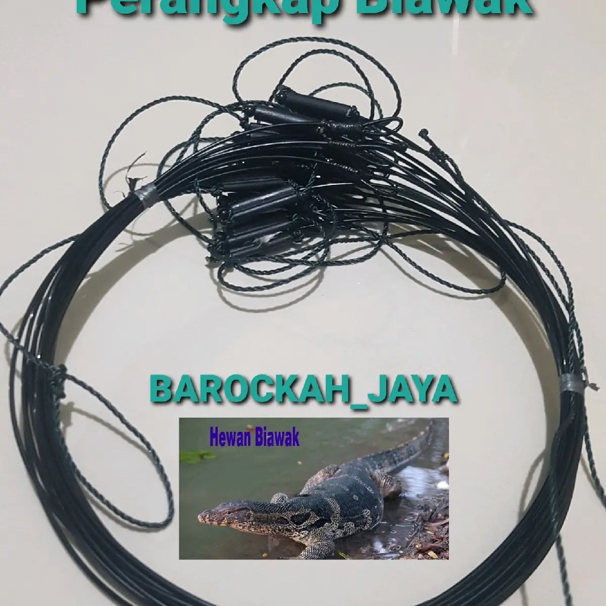 PERANGKAP// JEBAKAN// JERAT BIAWAK GARANGAN MACAN AKAR JUGA BISA