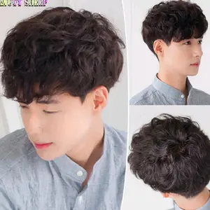 INDOHAIR WIG PRIA RAMBUT PENDEK IKAL PONI Kode Ikal E