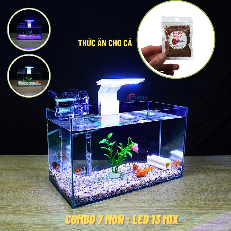 Bể Cá Mini Kích Thước 30x15x18cm - Combo phụ kiện 5 món, 6 món, 7 món