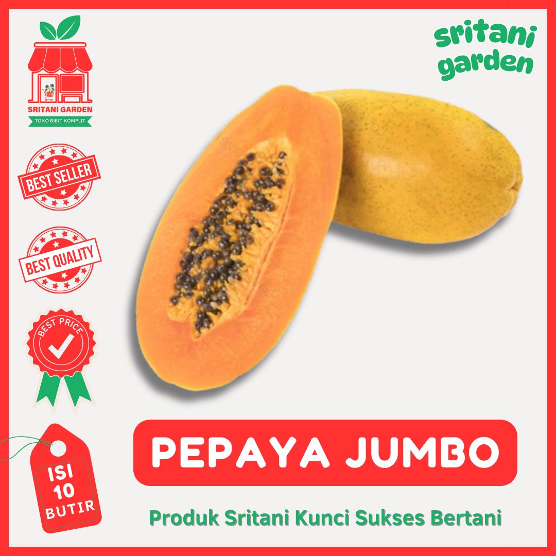 Benih Pepaya Jumbo 10 Biji Super Manis Best Seller - Sritani Garden