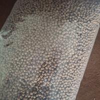 Gambar PAKAN IKAN LELE ANAK AN UKURAN KECIL 1Kg VOER PAKAN IKAN PENUH VITAMIN 1 kg dari Pakan Burung SDN BHD Kab. Sidoarjo 2 Tokopedia