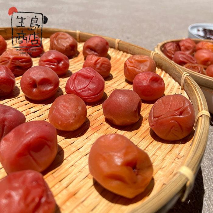PREMIUM UMEBOSHI Jepang – Plum Nanko Wakayama + Shiso & Rosella Bali | 135g 2