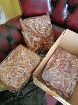 Product Review of Kerupuk Gurilem Si Denok isi 500 gram Cemilan khas Bandung Barat Rasa Kacang Pedas Camilan Food from G**y t** 2