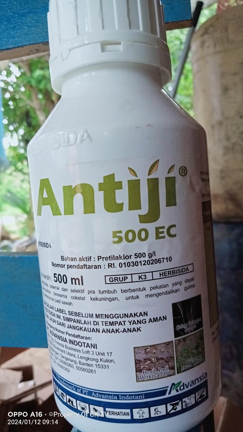 Antiji 500EC Herbisida Pembeku Biji Gulma
