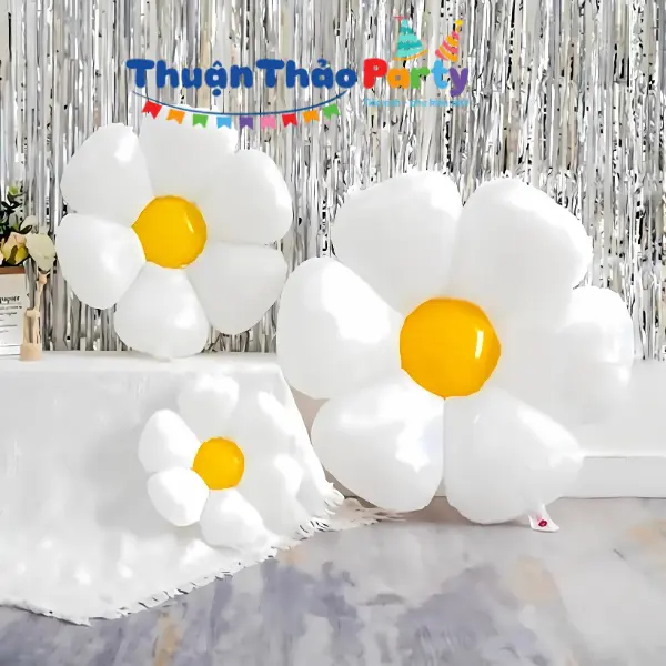 Bóng hoa cúc nhiều size, trang trí tiệc, chụp ảnh sinh nhật
