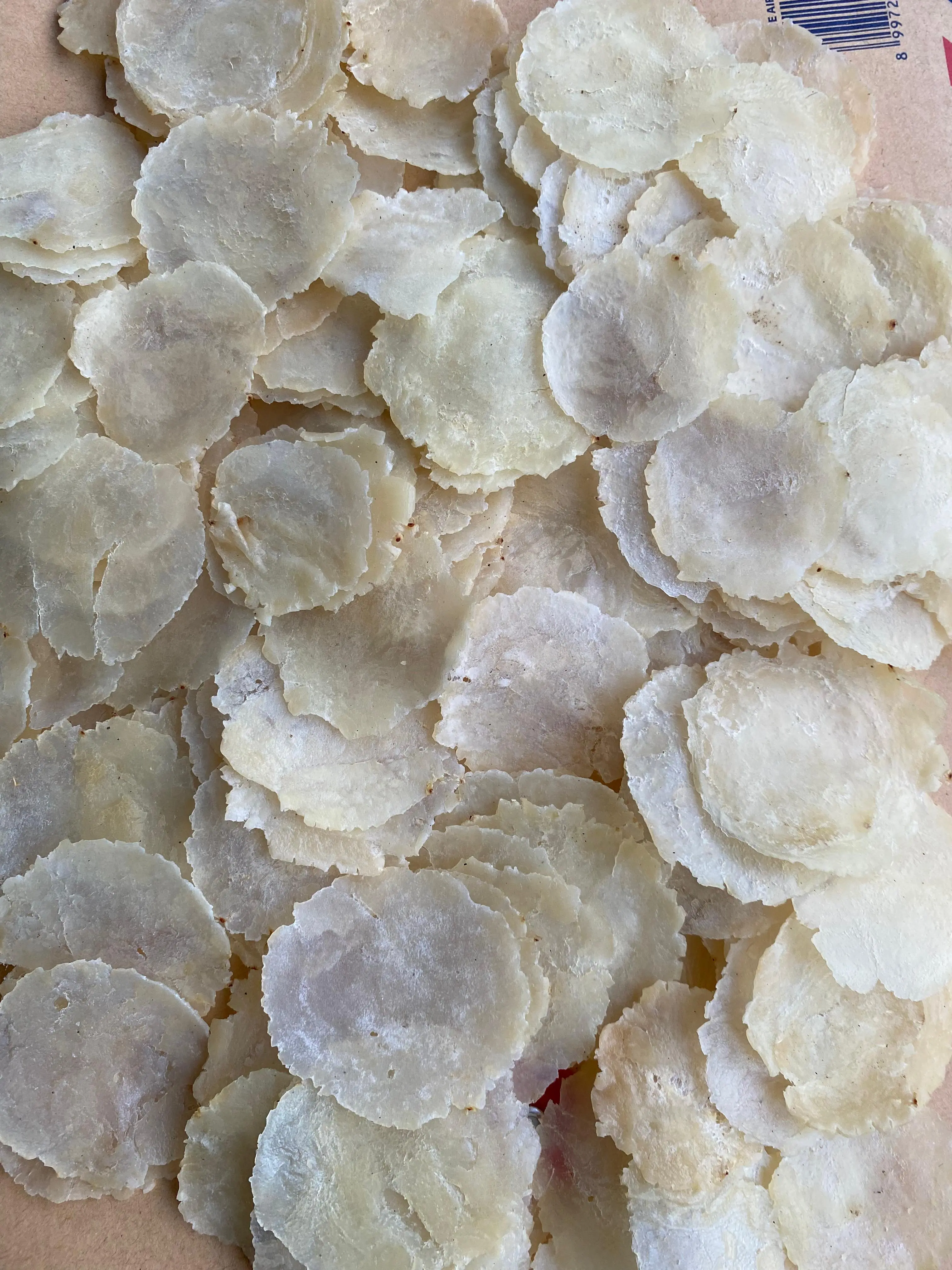 1KG EMPING MELINJO Biji 1 Kering Pasar ( Langsung Goreng, Buat Disimpen Dijemur Sendiri Tahan Maksimal 6 Bulan )