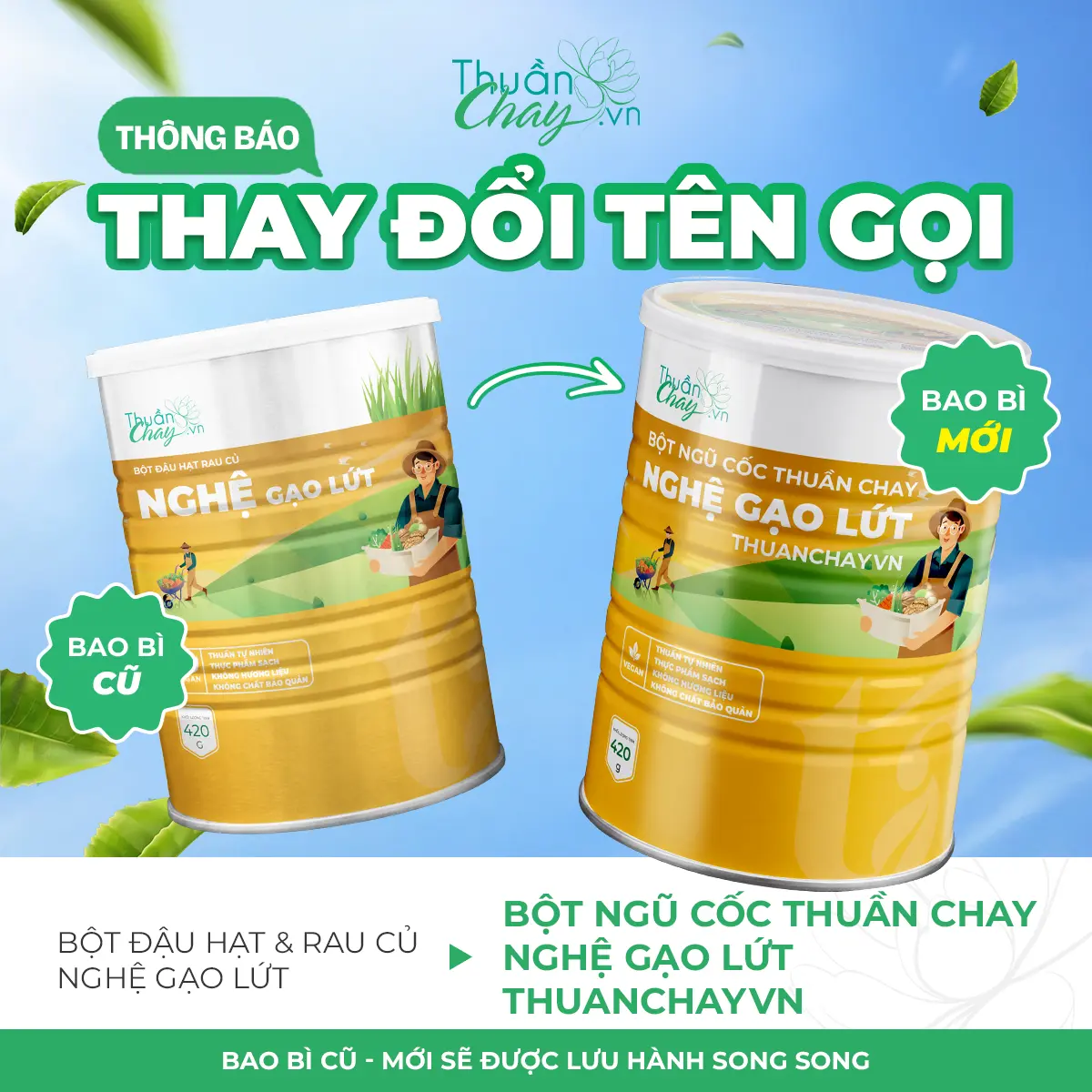 NGHỆ GẠO LỨT - Bột Ngũ Cốc Thuần Chay 420g