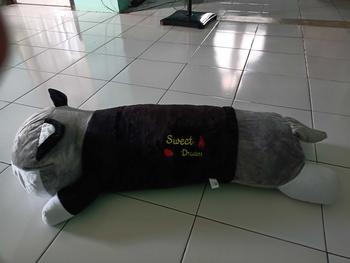 Product Review of Boneka Kucing Lying Rebah Ukuran 1 Meter - Toys (1 Buah) from N**A 0