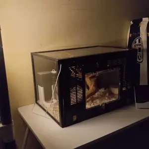 FOCAT X Tempat Makan Minum Hamster F38 Dispenser Anabul / Pet Feeder Otomatis 2IN1