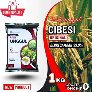 Benih Padi Unggul CIBESI Original Berkecambah 99,9% Premium Produk Kemasan 1-5 KG