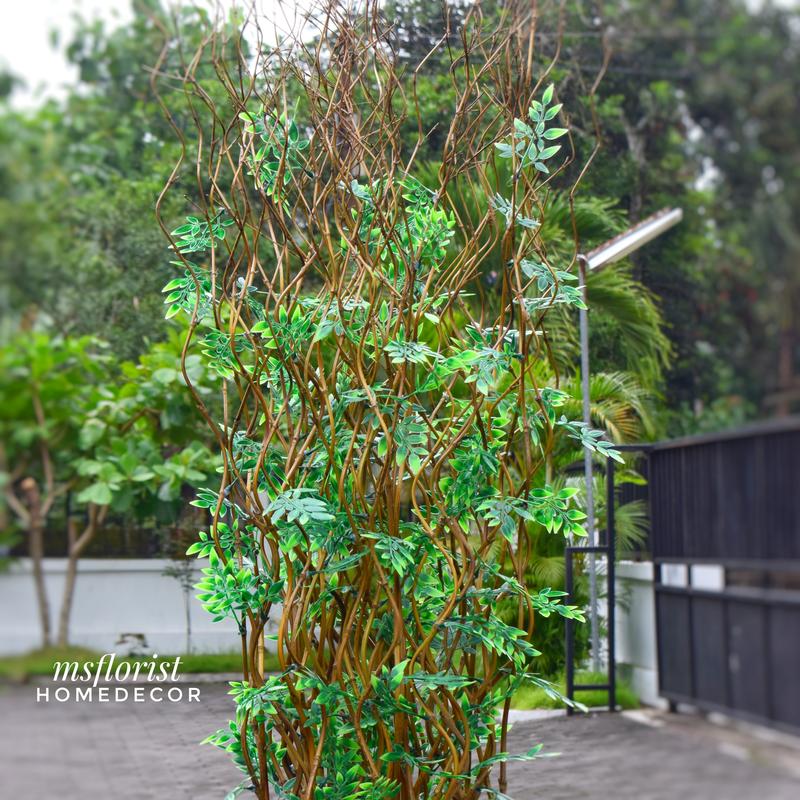 10 Btg Bambu Ulir Cendani Daun Cordelia 142 cm Tanpa Pot - Dekorasi Shabby Warna Natural 8