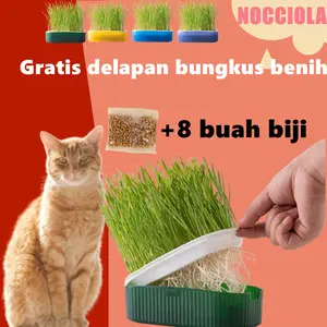 【Berisi 8 kantong benih rumput】Kit penanaman benih rumput gandum kucing berkualitas tinggi, budidaya rumput gandum kucing tanpa tanah, membersihkan mulut dan membantu pencernaan