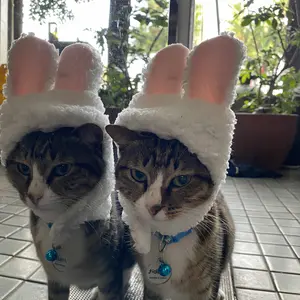 pawpedia  [INSTAN]  TOPI SINGA ANGSA Bear Beruang Panda Pet Cat Dog Hat Bunny Topi Beruang Untuk Anjing Kucing Bando Karakter Hewan Animal