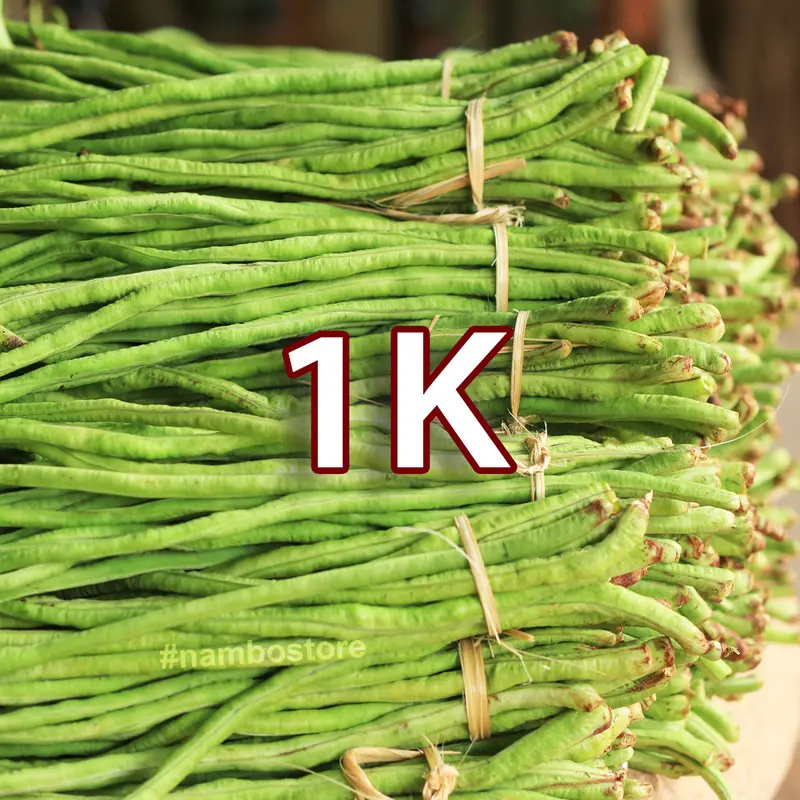 [Deal 1K] Hạt giống Rau Ăn Quả - Rau Ăn Trái, sinh trưởng mạnh, năng suất cao 4