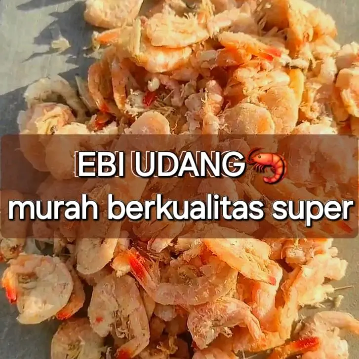 ebi udang 1kg/ebi daging murah /ebi kering/udang kering Food Seafood Frozen