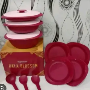 Raya blosom Tupperware 1set