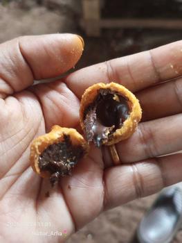 Product Review of COD Soes Coklat Cokelat/strawberry/ 500g/1kg /Update kemasan terbaru / merek baru/Malona/ mix rasa/halal Kue Sus Kering Isi soes coklat lumer 1 kgr Enak Murah （Cemilan keluarga, cocok untuk dewasa dan anak-anak） Chocolate Food Makanan Snack Manis from 🌹**🌹 3