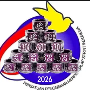 RING NASIONAL PPMBSI 2026 ASLI ORI MERPATI DARA ASLI