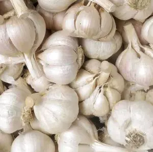 Bawang Putih Kating   1kg