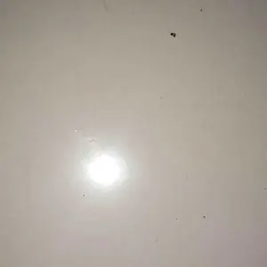 Rak Tempel Sikat Gigi Rak Odol Rak Serbaguna Rak Kamar Mandi Rak Tempel Motif Beruang TOP901