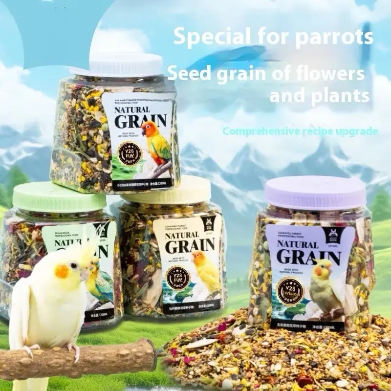 ￼Budgie, love bird, cockatie parrot feed, yellow grain millet  with shells, flower seed and grass seed bird food.