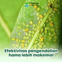 Gambar INFARM - Paket Pestisida Nabati Organik 500 ml dan Eco Grip Perekat Pestisida Lebih Nempel & Efektif - Paket Pestisida 500ml dari Infarm Kota Surabaya 4 Tokopedia