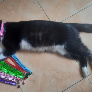 [instan] Pawpediastore Kalung Premium Reflektif untuk Kucing & Anjing dengan Lonceng – Pet Collar Aksesori Hewan