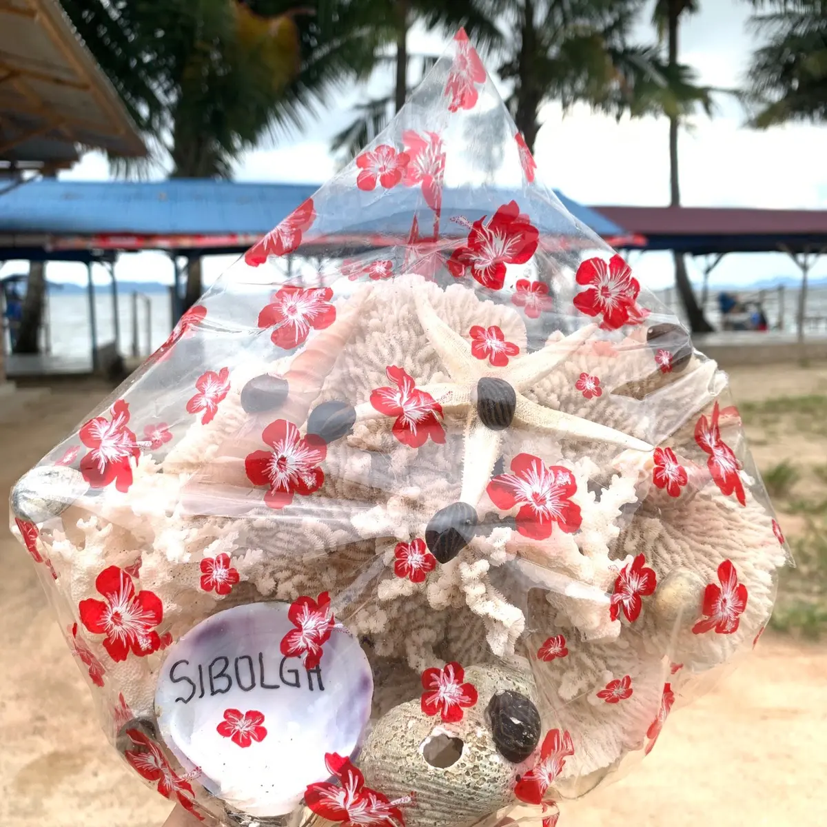 Hiasan Kerang untuk meja dan estetika