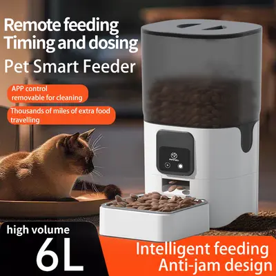 Raccoon proof automatic cat feeder best sale