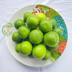 Buah 1kg Jeruk Nipis Kulit Hijau Fresh Kaya Manfaat
