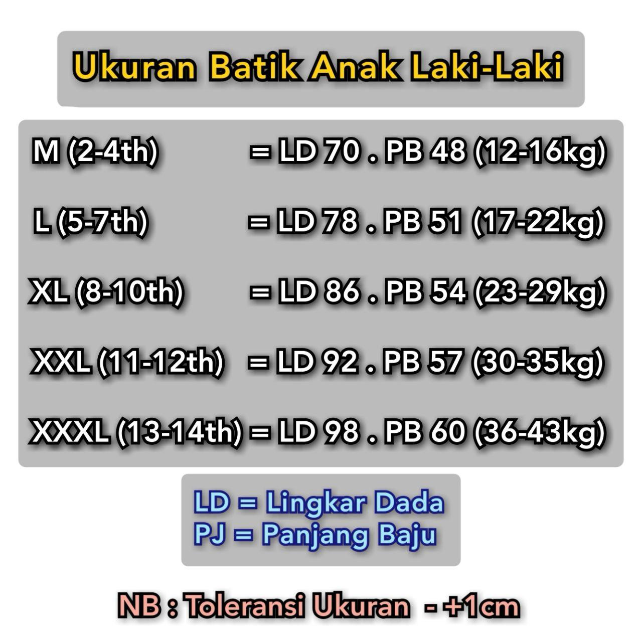 Batik Anak Laki Laki Lengan Pendek Premium Kemeja Sekolah Baju Hem Cowok TK SD 2 - 14 Tahun